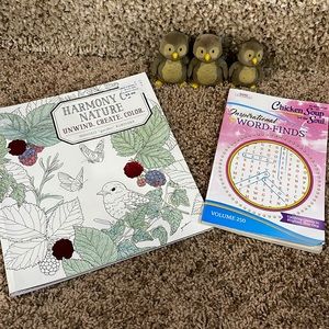 Adult color book, crossword book and 3 owl figurines.